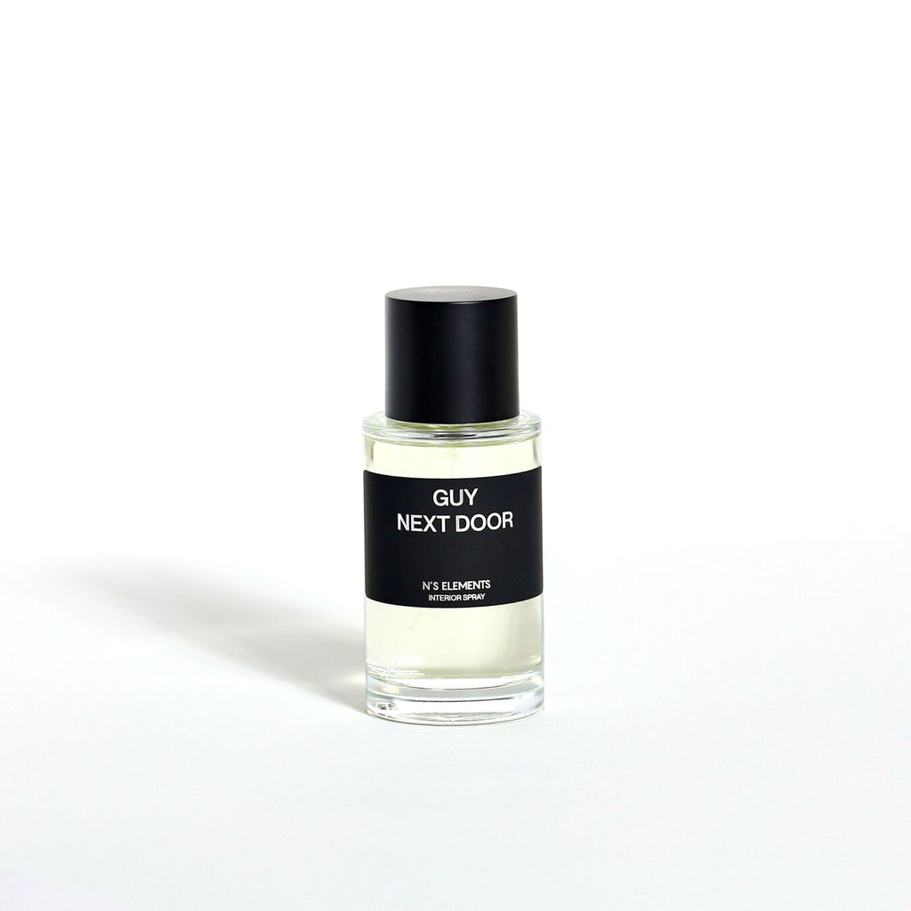 N'S ELEMENTS INTERIOR SPRAY - GUY NEXT DOOR