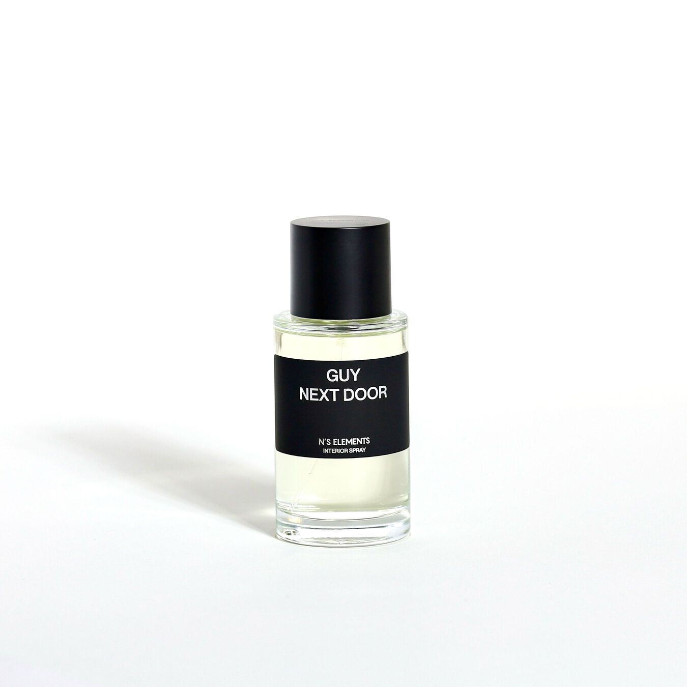N'S ELEMENTS INTERIOR SPRAY - GUY NEXT DOOR
